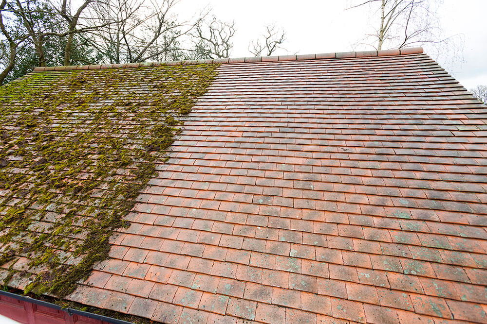 Moss on a pitched roof
